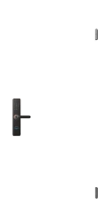 Base NEW